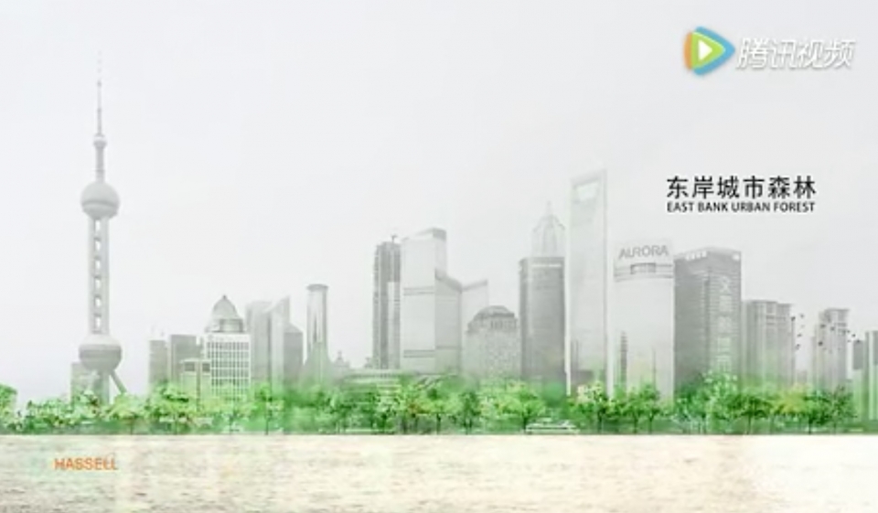 项目图片