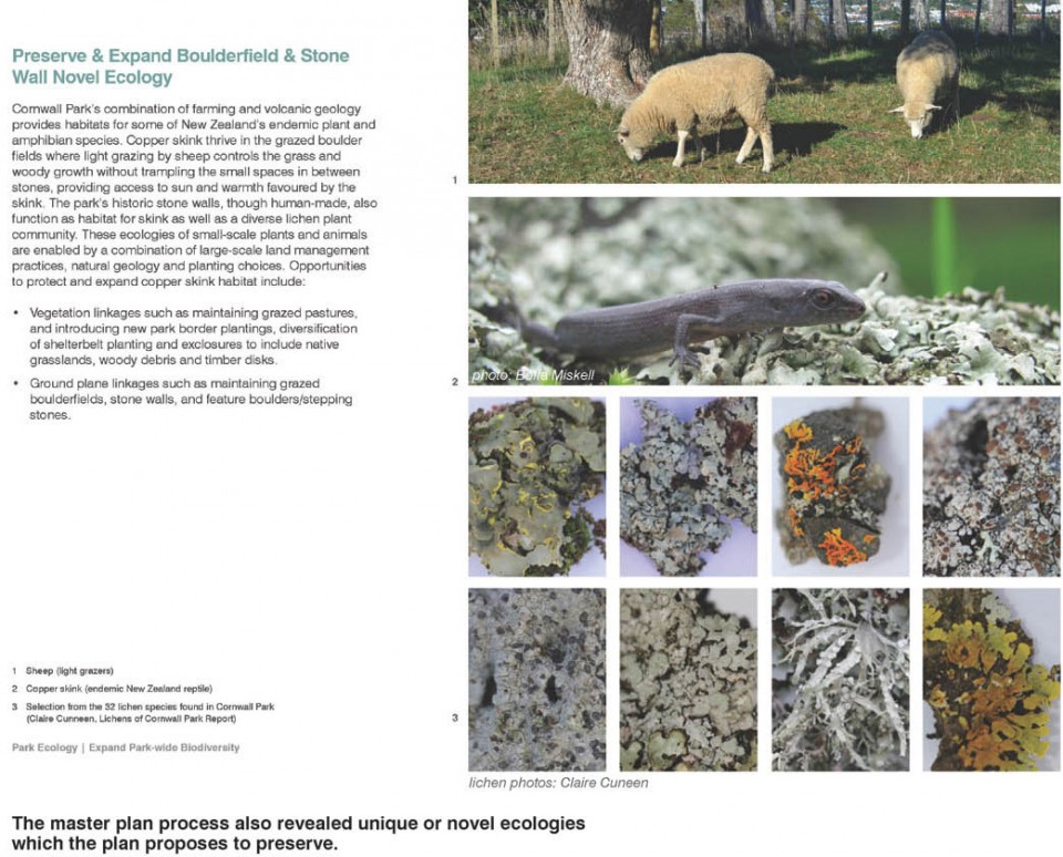 CornwallPark_FINAL_Page_12