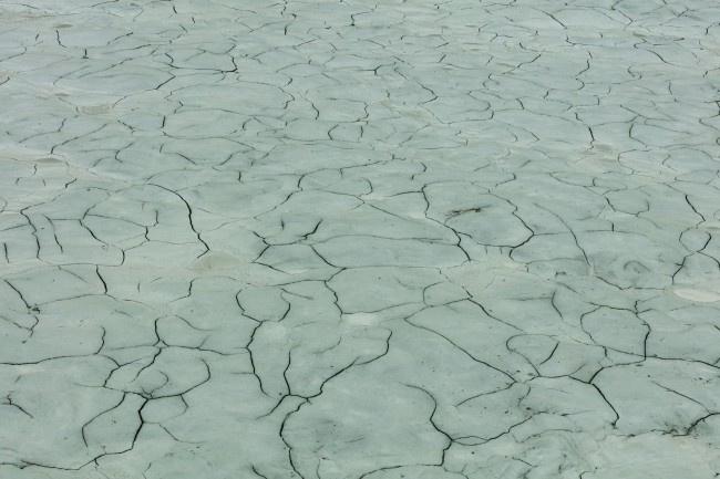 Glacial_rock_flour_garden_2_31A1772