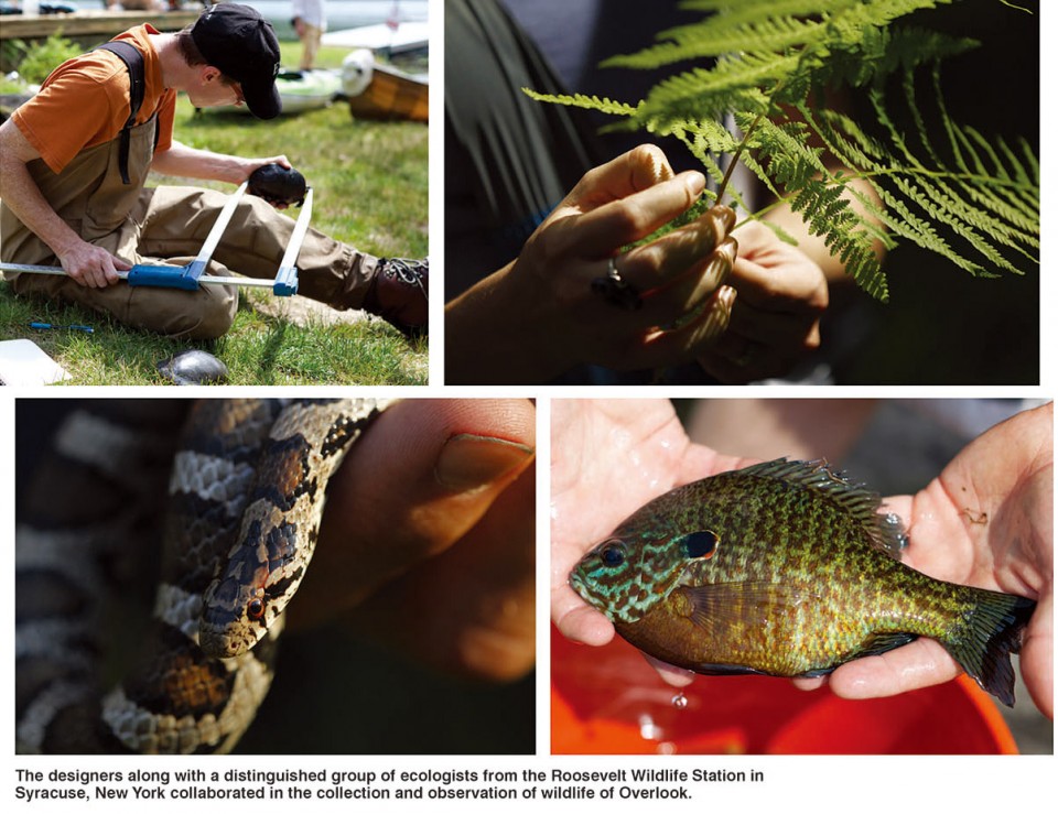 OverlookFarm_FinalHiRes_Page_15_Page_07_1