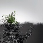 “Umarły Teatr”展览，日本京都 / JP architects