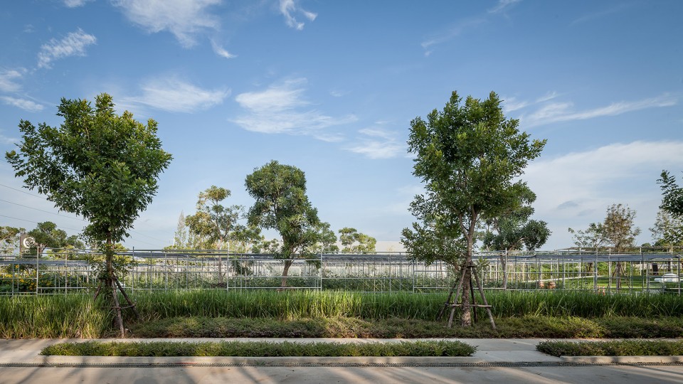 004-Coro Field by Integrated Field Co.,Ltd.