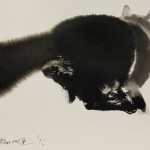 写意水墨，塞尔维亚 / Endre Penovác