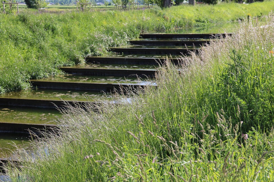 006-Revitalization of the river Aire, Geneva, Switzerland by Group Superpositions