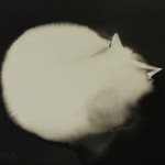 写意水墨，塞尔维亚 / Endre Penovác