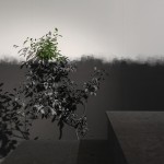 “Umarły Teatr”展览，日本京都 / JP architects