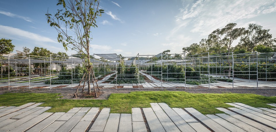 011-Coro Field by Integrated Field Co.,Ltd.