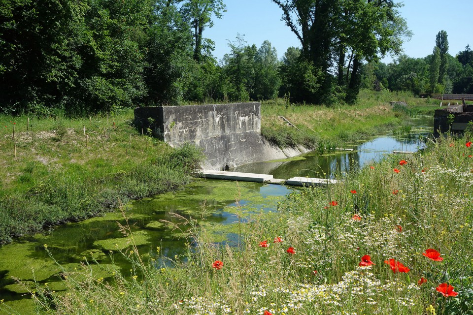 012-Revitalization of the river Aire, Geneva, Switzerland by Group Superpositions