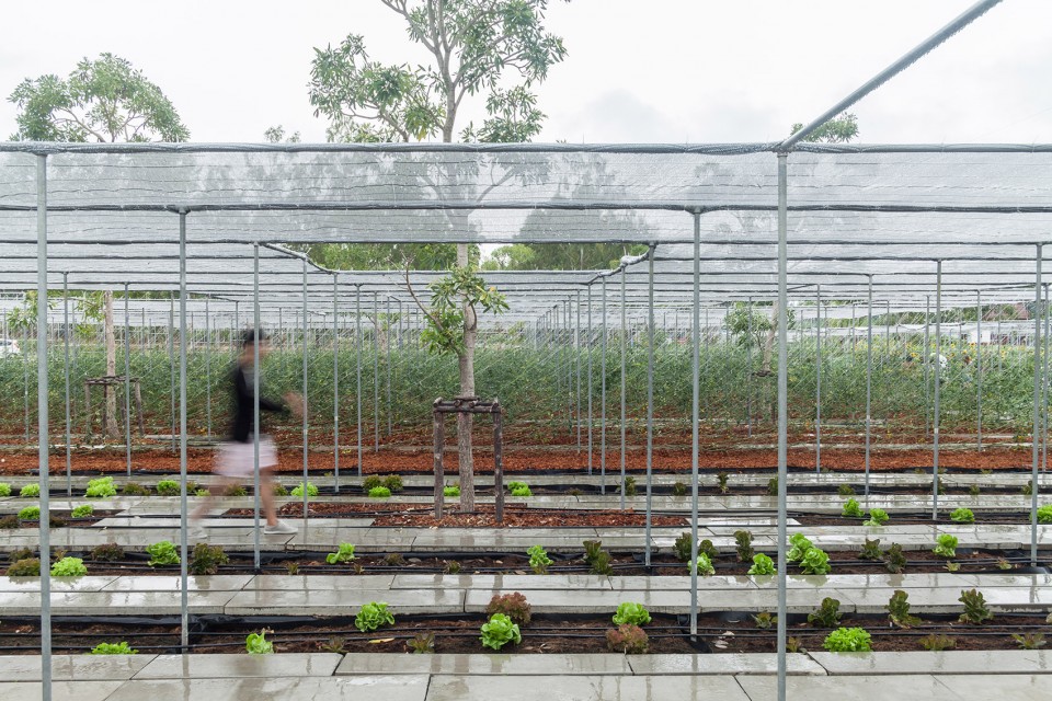 013-Coro Field by Integrated Field Co.,Ltd.