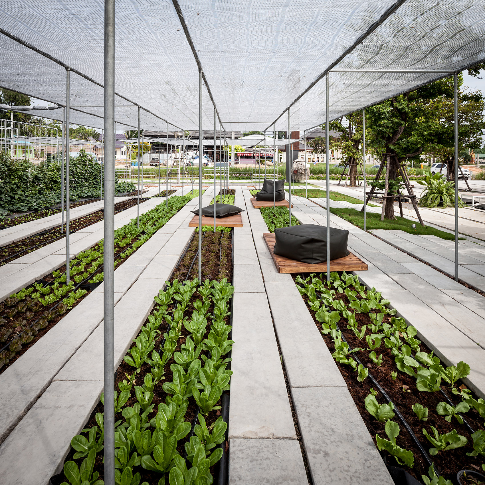 Coro Field / Integrated Field Co.,Ltd. - 谷德设计网