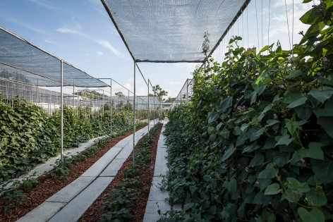 021-Coro Field by Integrated Field Co.,Ltd.