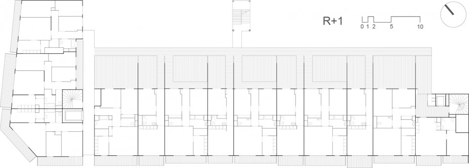 FILAIRE R+1