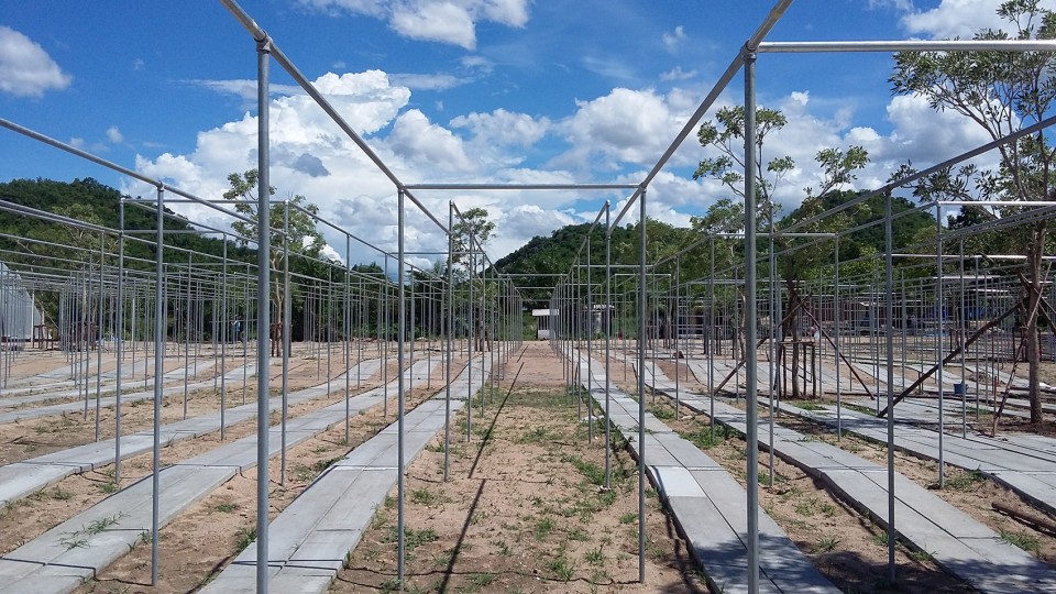 051-Coro Field by Integrated Field Co.,Ltd.