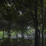 陈化成纪念馆移建改造，上海 / 阿科米星