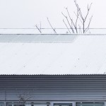 办公室，上海 / 致正建筑工作室