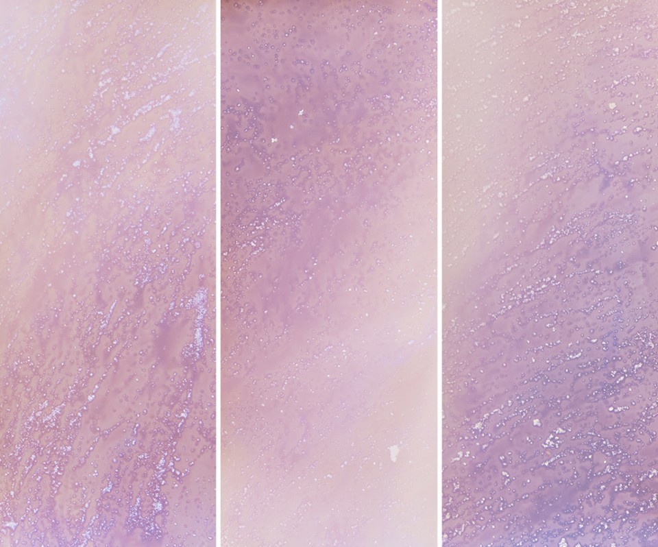 005-Transcriptions by Kyra Schmidt