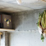 公寓设计，日本 / JP architects