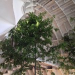 美术馆中庭，韩国 / Shinslab Architecture