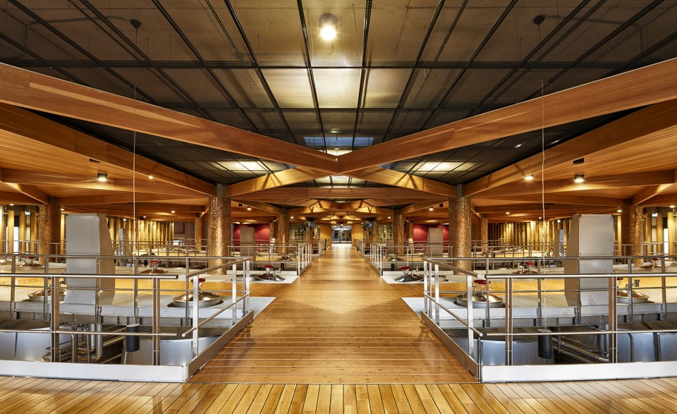 016-Vinero Winery and Hotel by CM Mimarlıkk