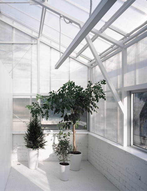 019-Temporary Office Building of Atelier Z+ _花房greenhouse (4)