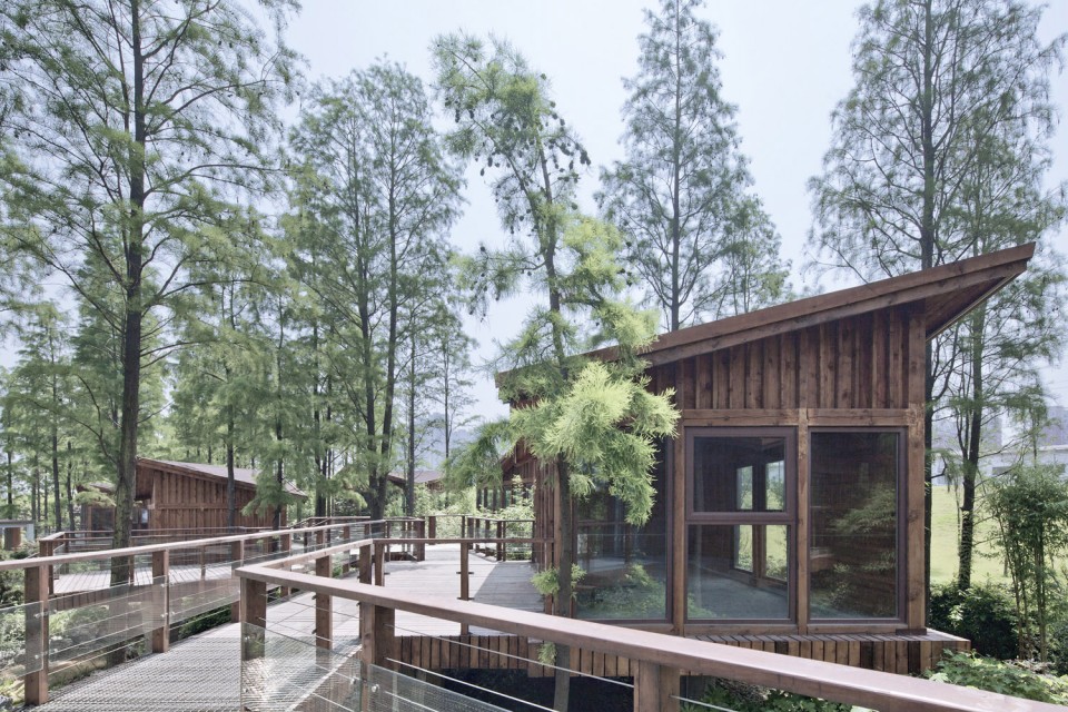 01_Metasequoia Wood Cabins by UAO
