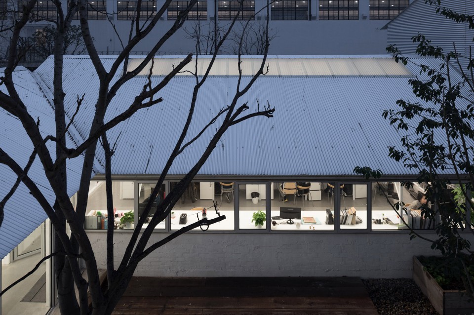 024-Temporary Office Building of Atelier Z+ _庭院Courtyard (9)