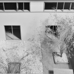 办公室，上海 / 致正建筑工作室