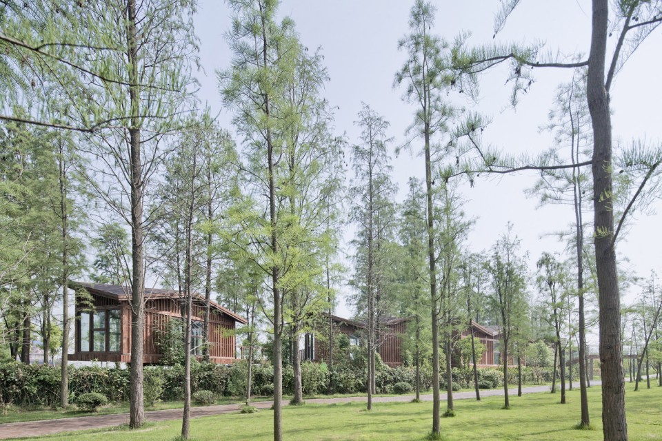 02_Metasequoia Wood Cabins by UAO