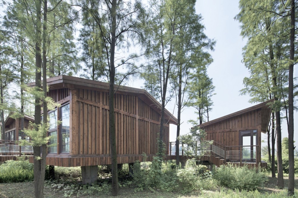 03_Metasequoia Wood Cabins by UAO