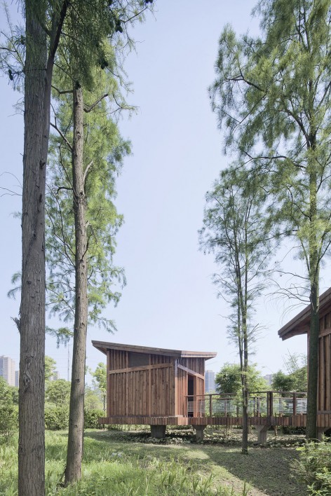 12_Metasequoia Wood Cabins by UAO