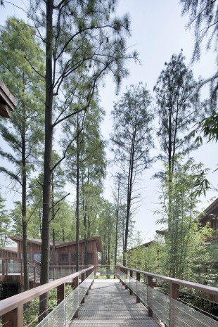 17_Metasequoia Wood Cabins by UAO
