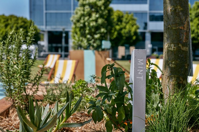 19-Metcalfe Park “Park within a Park’ by ASPECT Studios