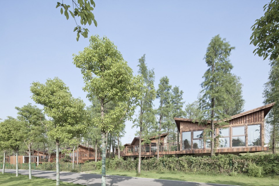 21_Metasequoia Wood Cabins by UAO