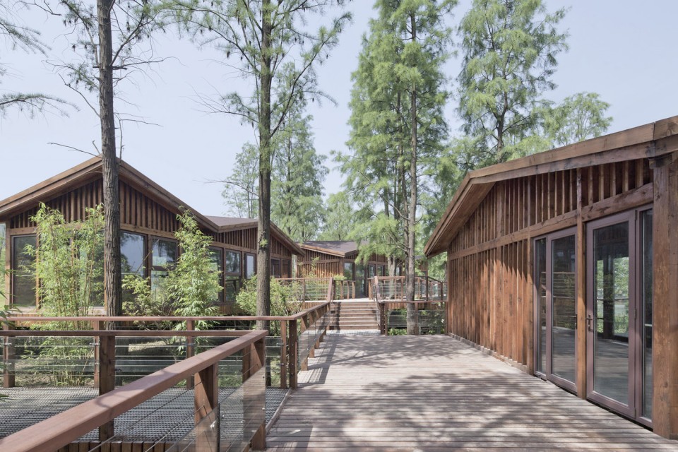 22_Metasequoia Wood Cabins by UAO