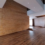 住宅设计，伊朗 / ReNa Design