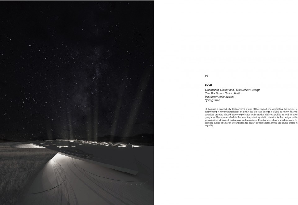 Zhuoran Liu_Portfolii20
