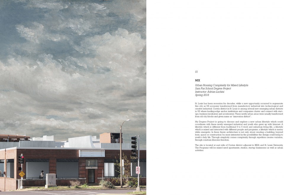 Zhuoran Liu_Portfolii3