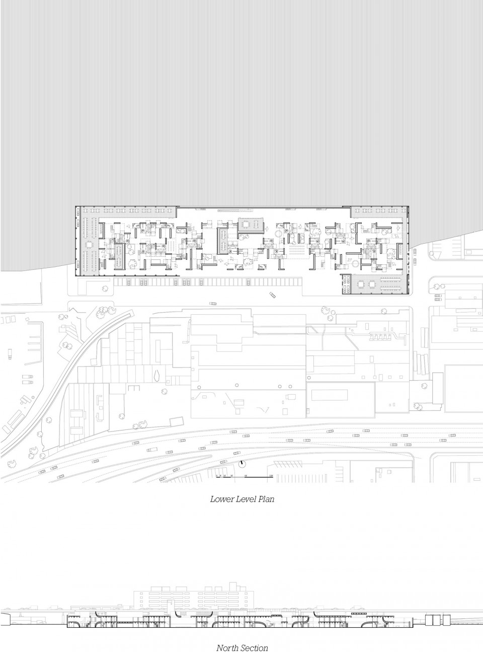 Zhuoran Liu_Portfolii6_2