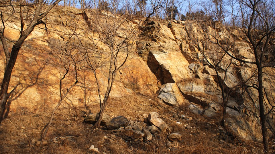 场地照片 site photo