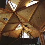 林建筑－与自然树木的共舞 / 迹·建筑事务所（华黎）