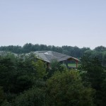 林建筑－与自然树木的共舞 / 迹·建筑事务所（华黎）