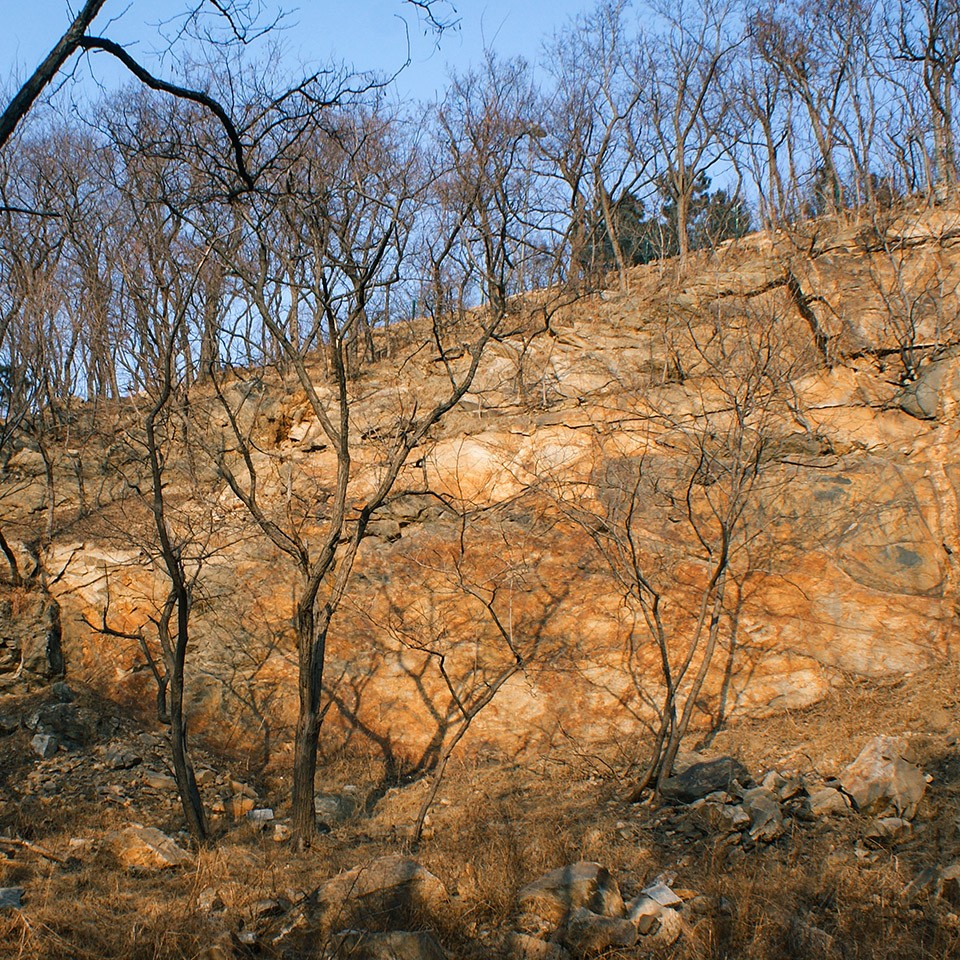 场地照片 site photo