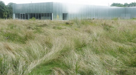 048-The Louvre Lens museum park by Catherine Mosbach