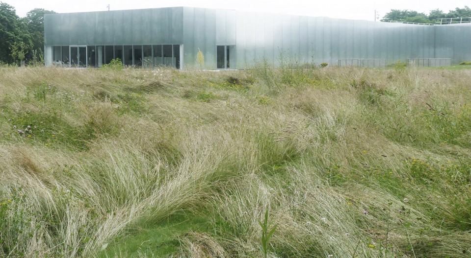 048-The Louvre Lens museum park by Catherine Mosbach