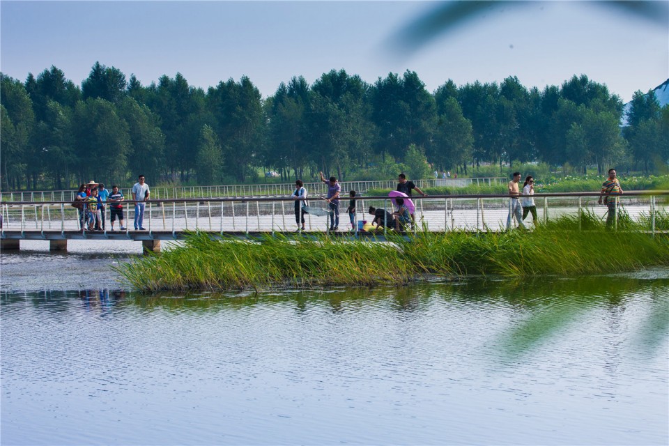 05_The Harbin Cultural Center Wetland Park by Turenscape
