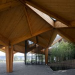 林建筑－与自然树木的共舞 / 迹·建筑事务所（华黎）