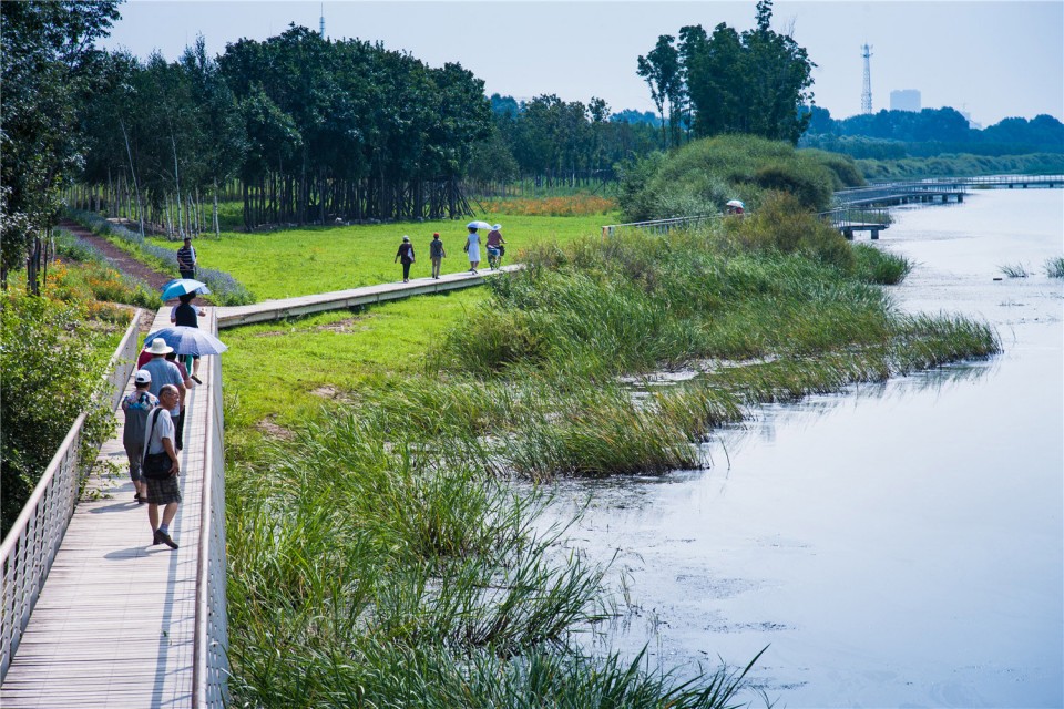 06_The Harbin Cultural Center Wetland Park by Turenscape