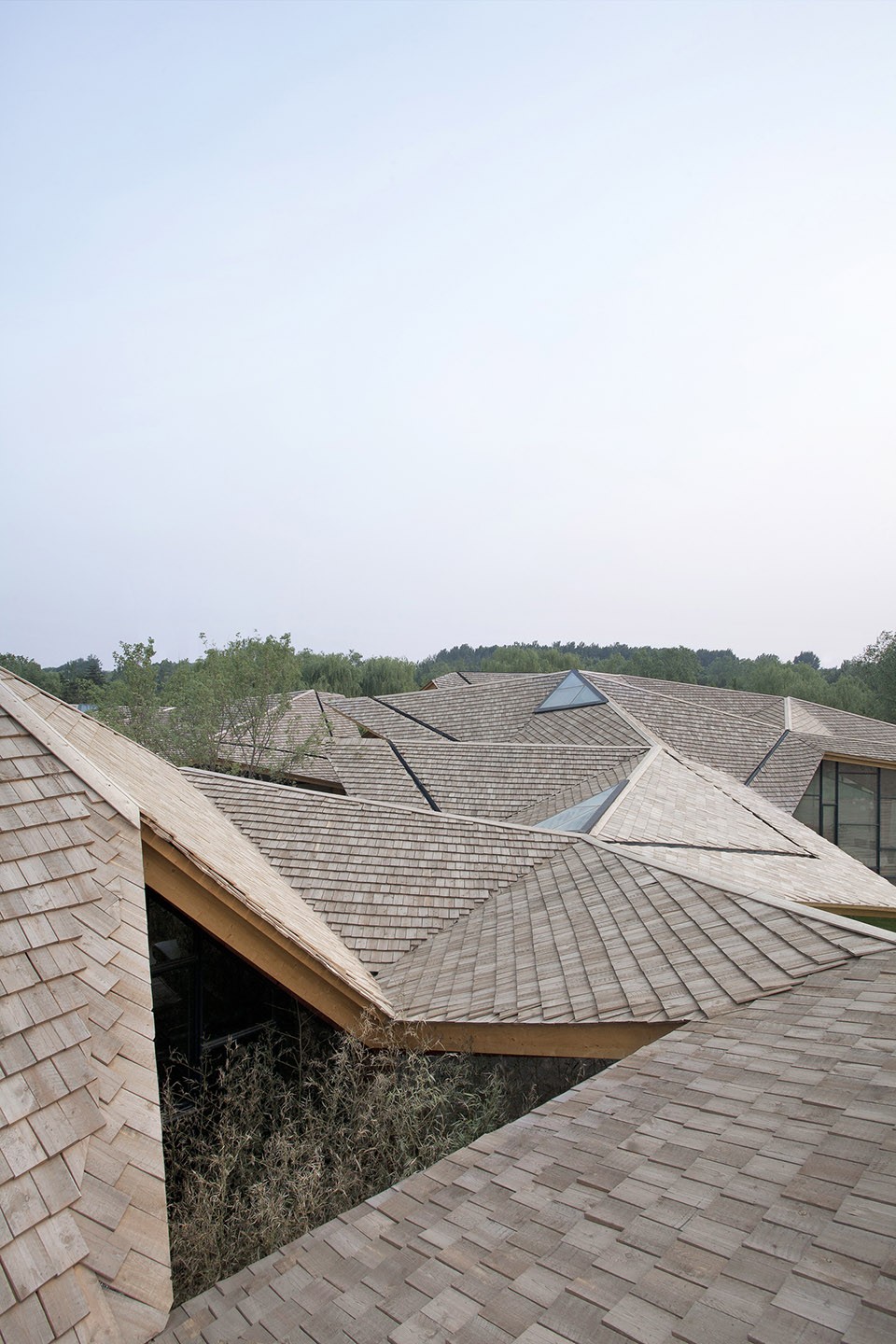 07-木瓦屋顶俯视 View of the wood shingle roof (Photo credit_XIA Zhi)