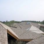 林建筑－与自然树木的共舞 / 迹·建筑事务所（华黎）