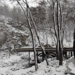 岩景茶室，威海，中国 / 迹·建筑事务所（华黎）